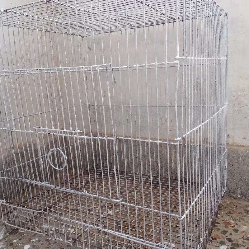 single portion cage available — photo 2