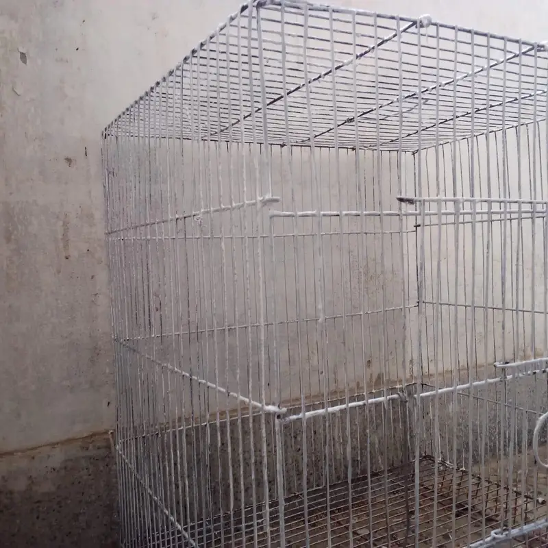 single portion cage available — photo 3