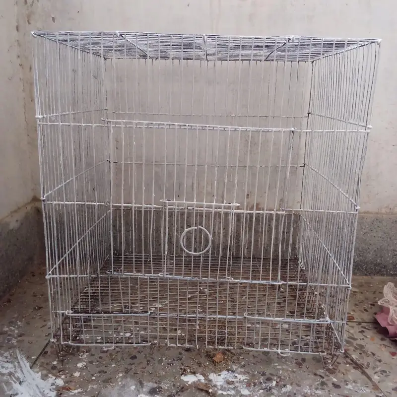 single portion cage available — photo 4