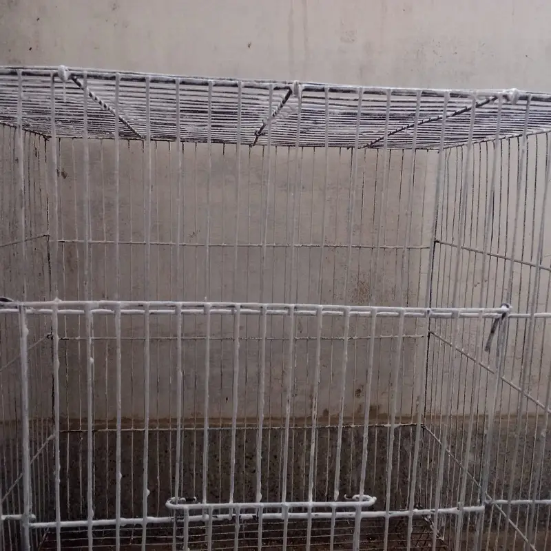 single portion cage available — photo 5