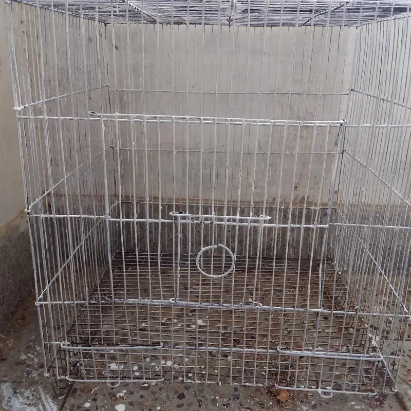 single portion cage available — photo 6
