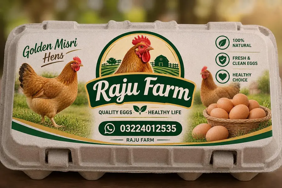 Golden misri hens eggs — photo 2