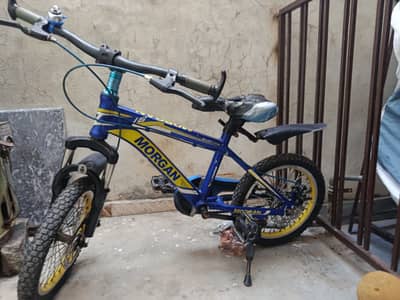 14 inch bicycle