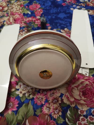 Ceiling Fan for Sale