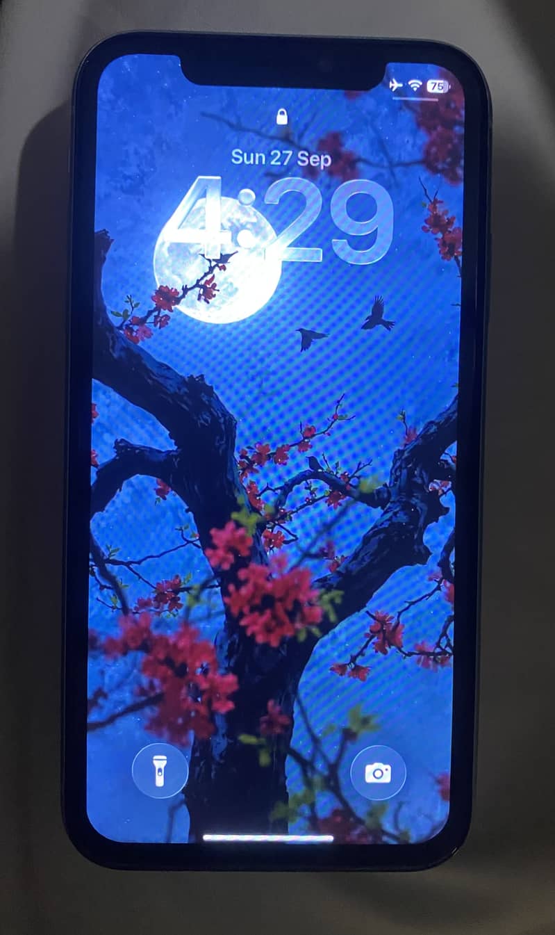 Apple iPhone 11 1