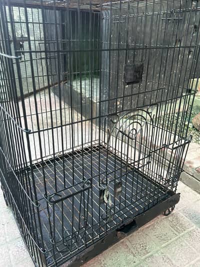 Bird cages for sale used