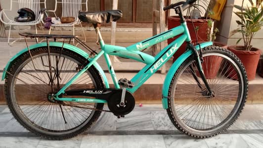 Used Bicycle (refreshed to new)