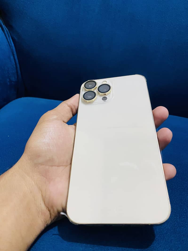 Apple iPhone 13 Pro Max 1