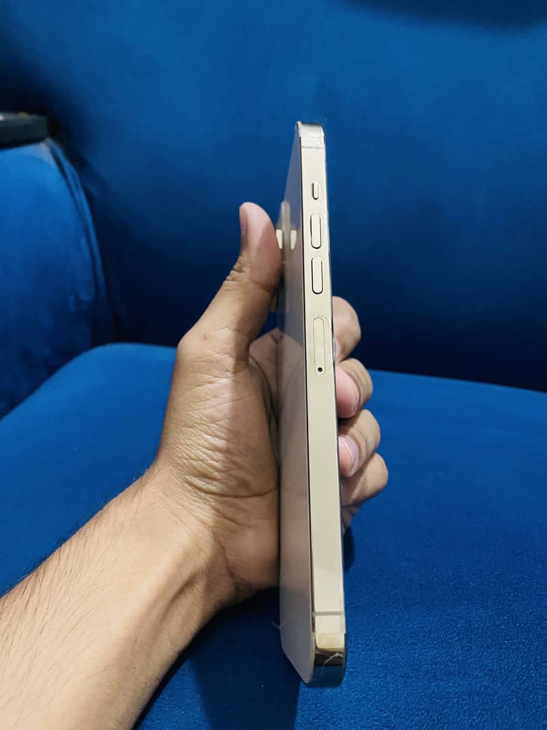 Apple iPhone 13 Pro Max 3