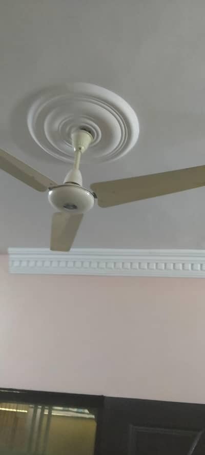 Pak fan