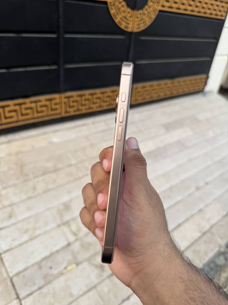 Apple iPhone 16 Pro Max 3