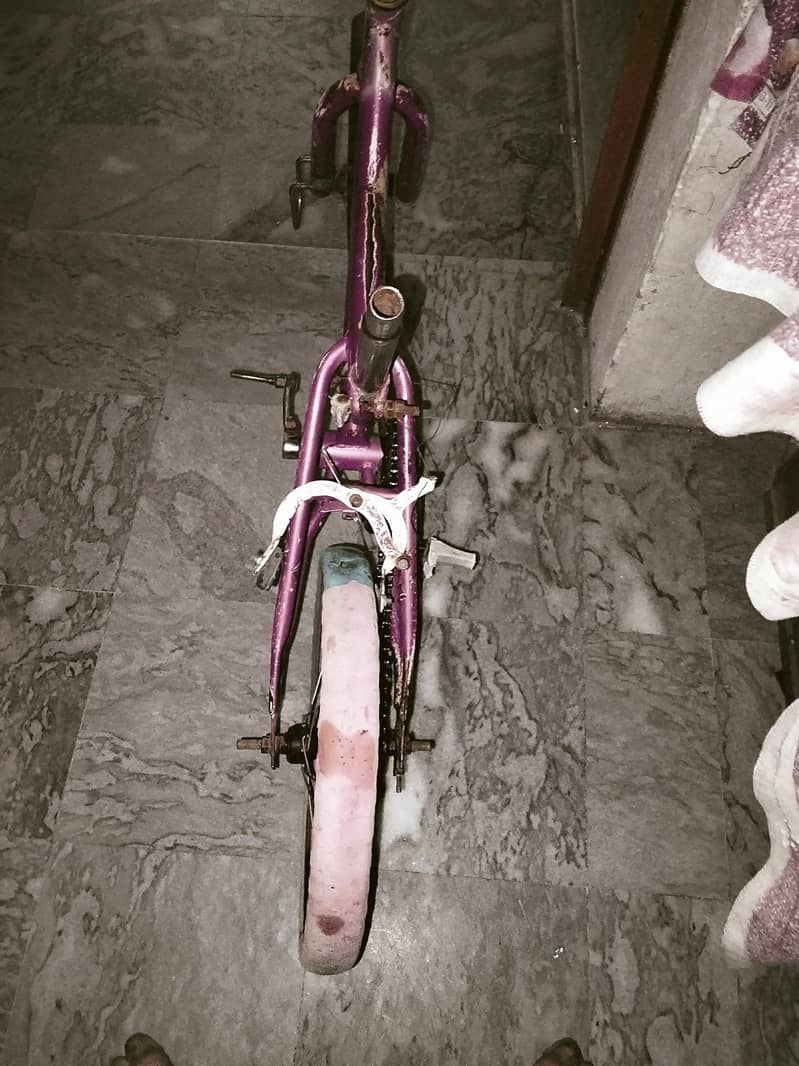 bicycle 0