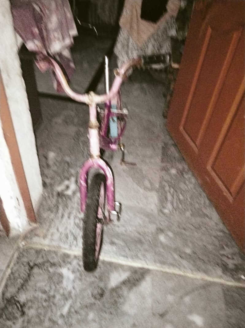 bicycle 2