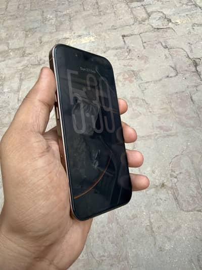 Apple iPhone 16 Pro