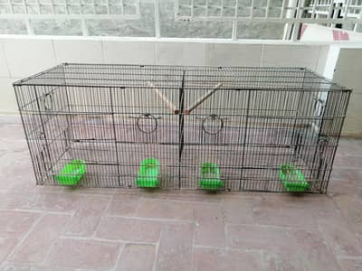birds cage