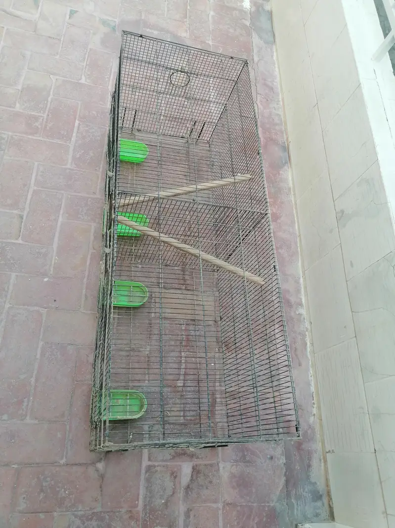 birds cage — photo 2