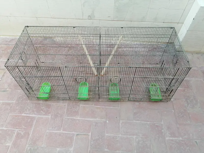 birds cage — photo 3