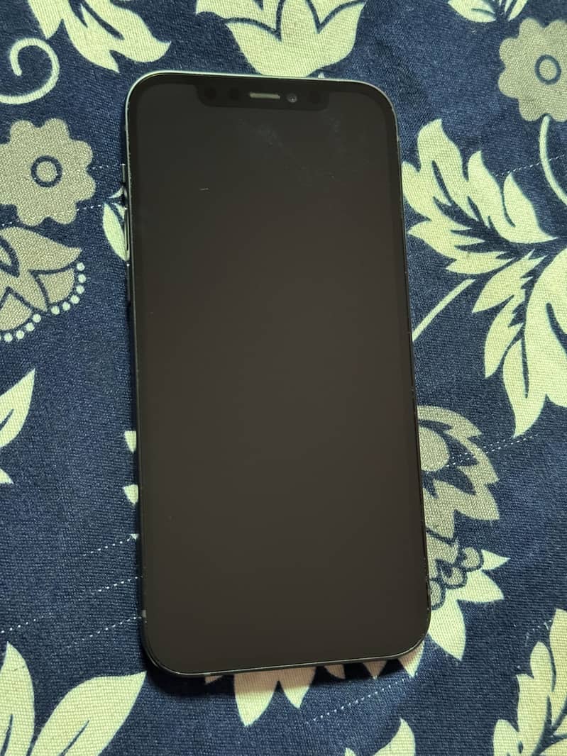 Apple iPhone 12 1