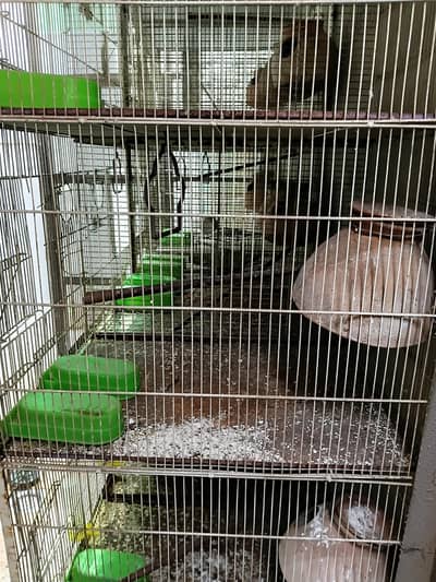 Cages