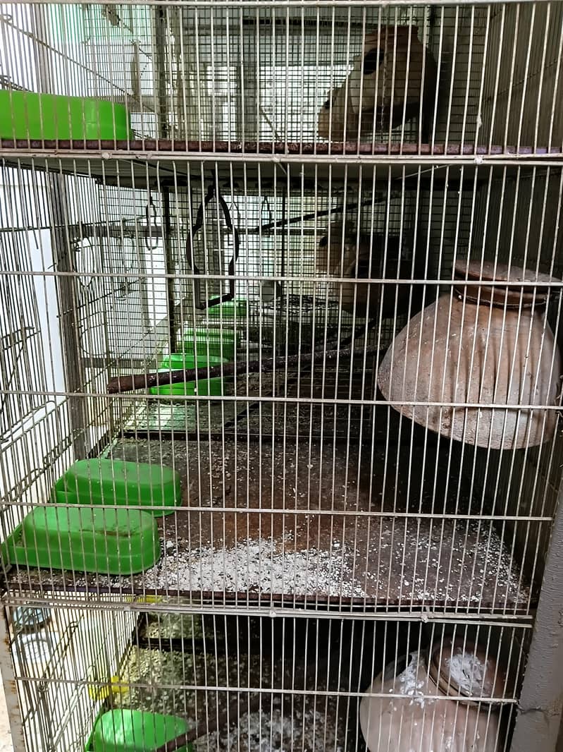 Cages 0