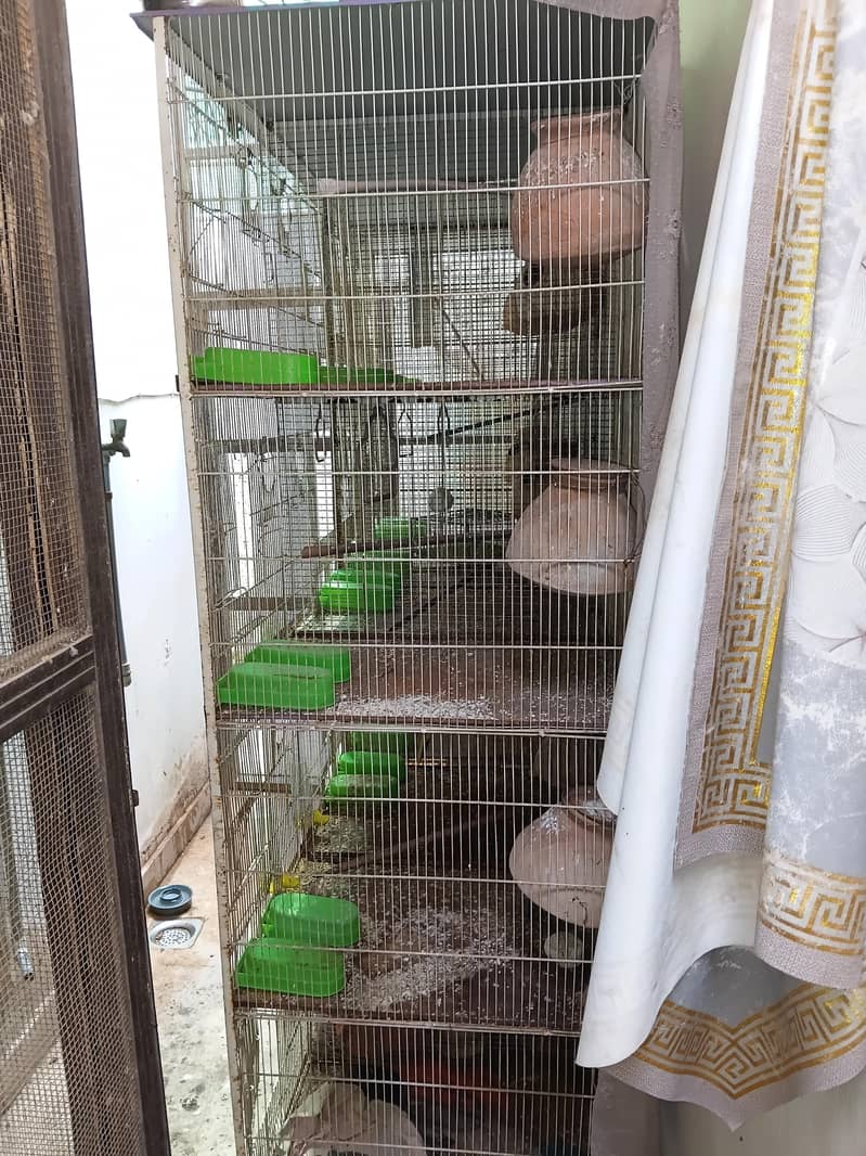 Cages 1