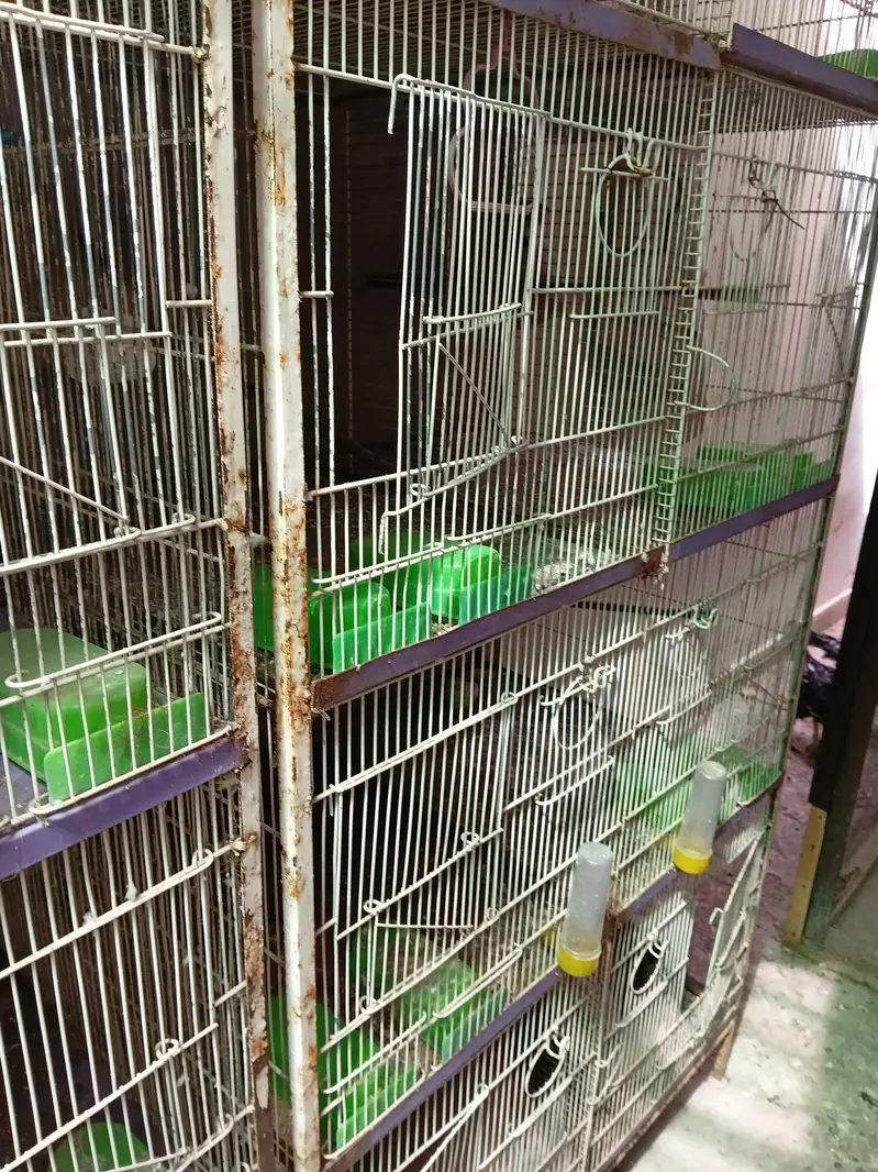 Cages — photo 3