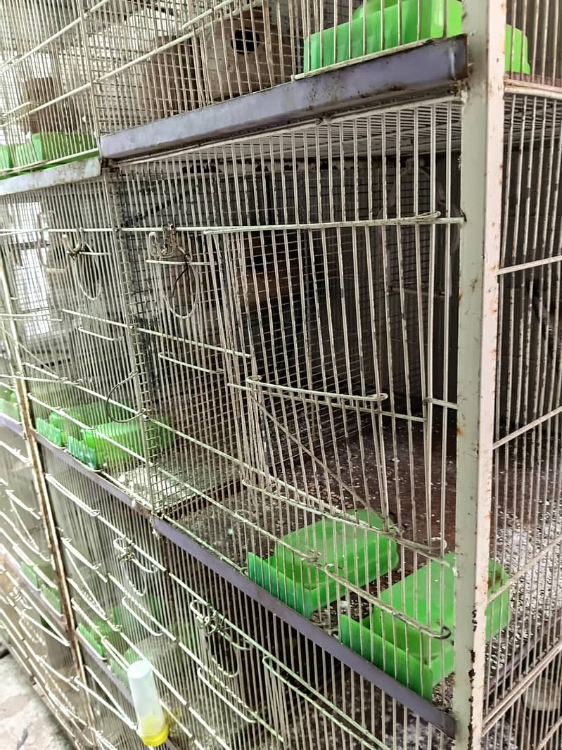 Cages 3