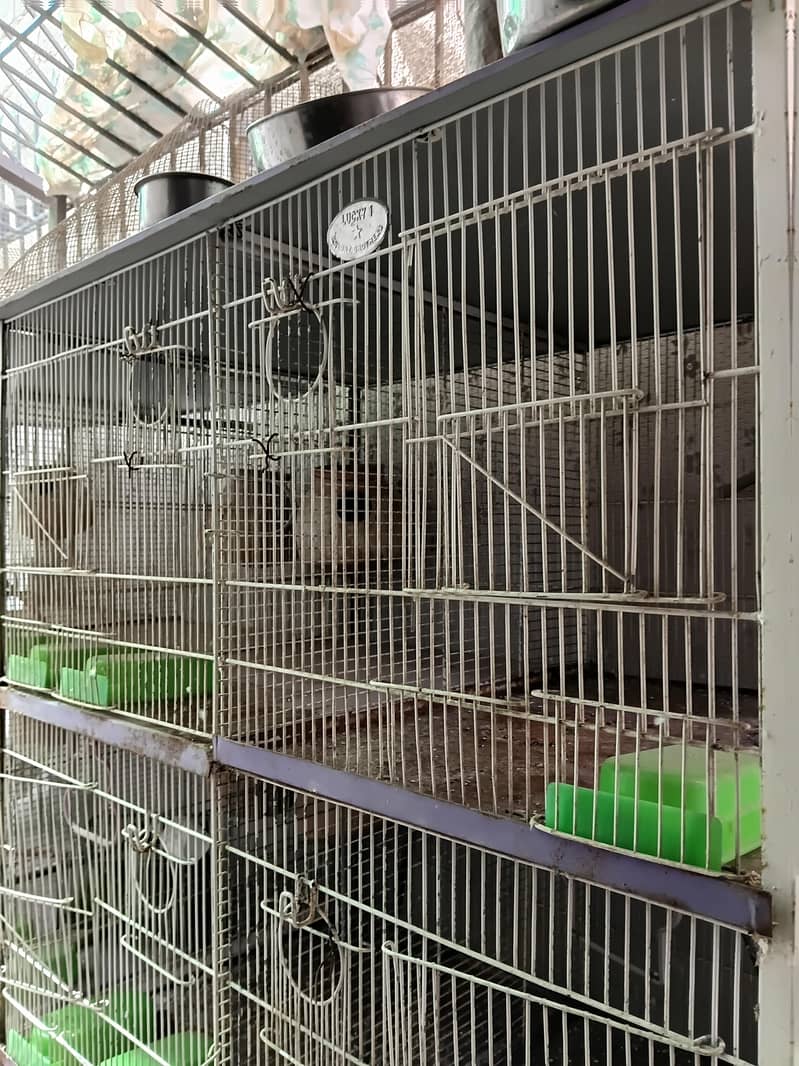 Cages 4