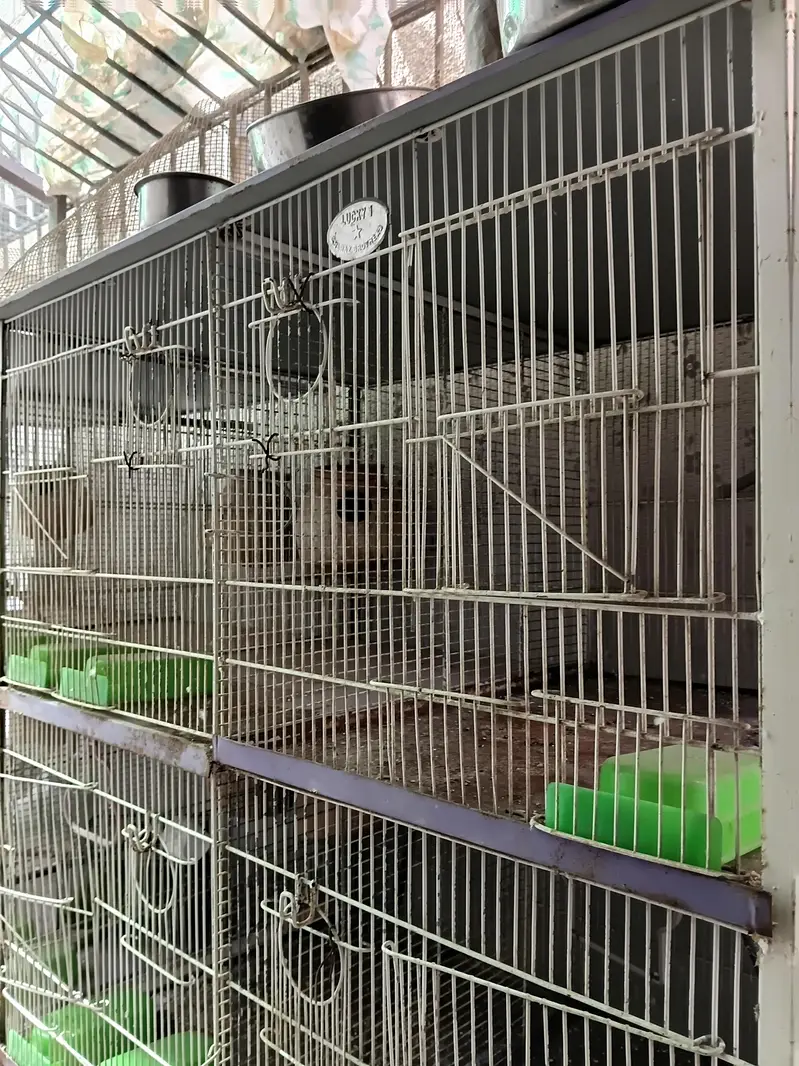 Cages — photo 5
