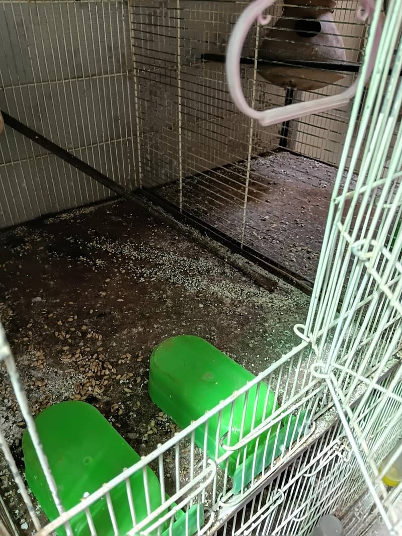 Cages 5