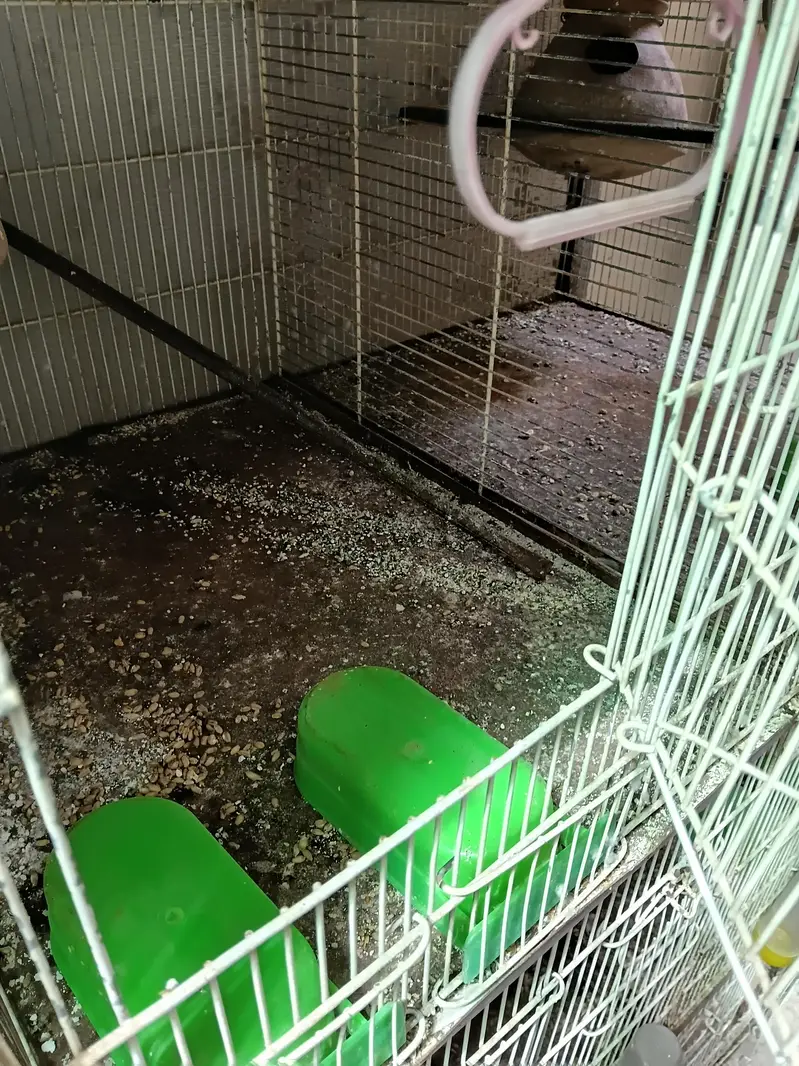 Cages — photo 6