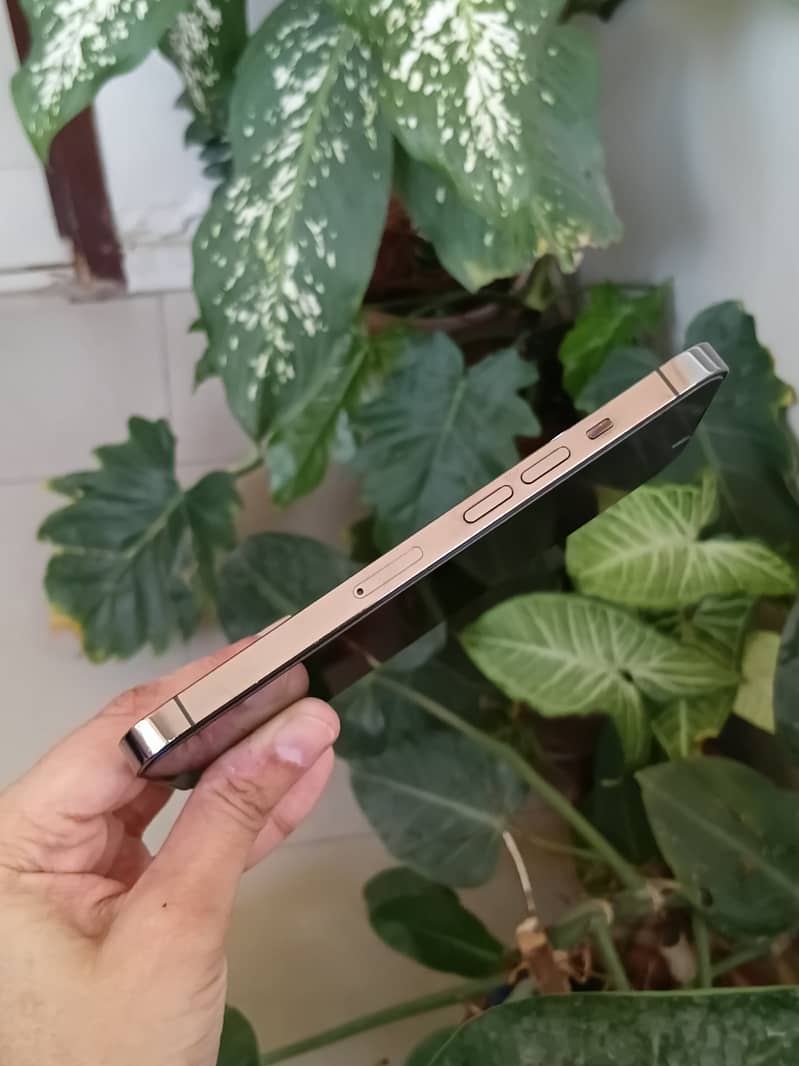 Apple iPhone 13 Pro 2