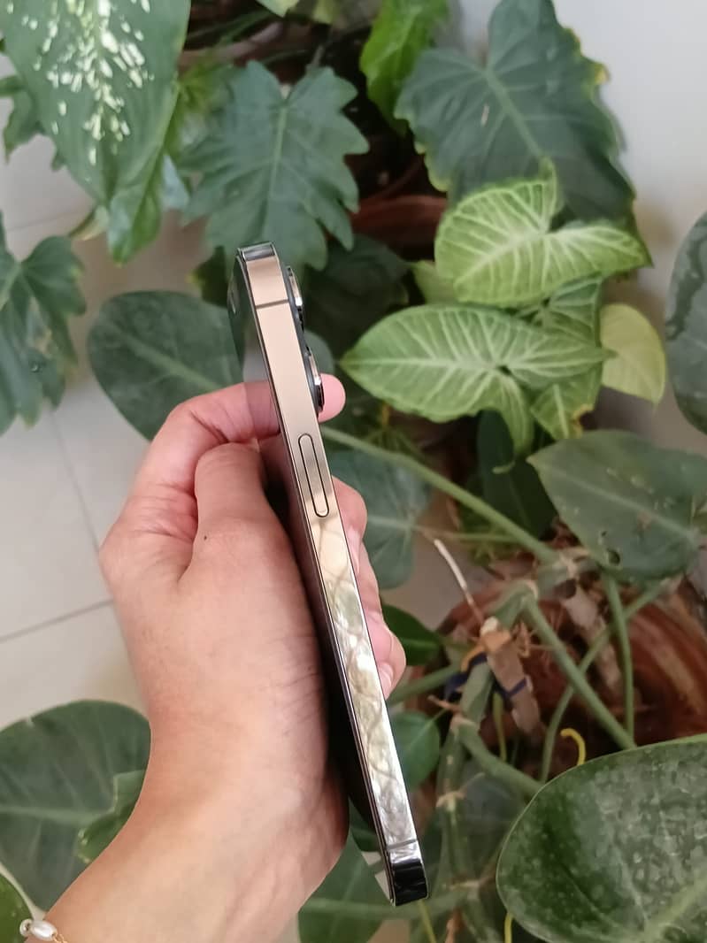 Apple iPhone 13 Pro 5
