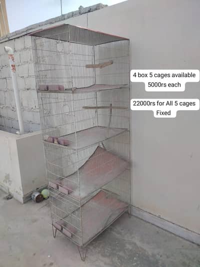 Cages available for Birds