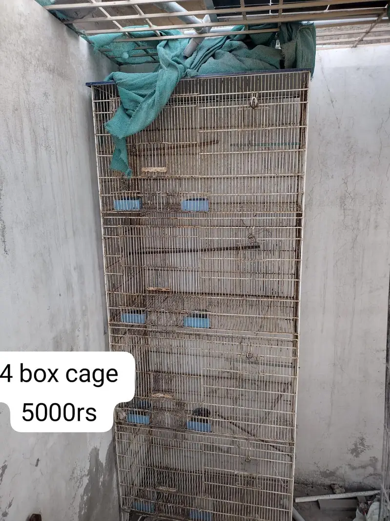 Cages available for Birds — photo 2