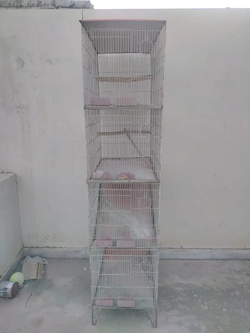 Cages available for Birds — photo 3