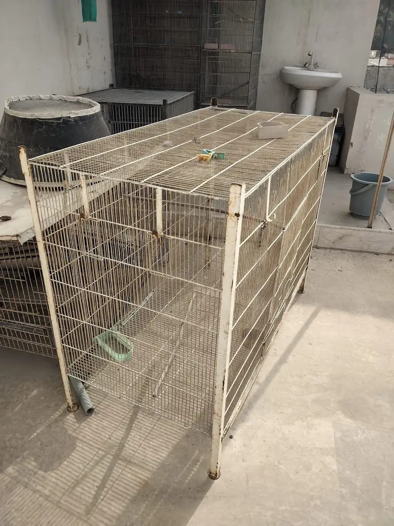 Cages available for Birds — photo 4