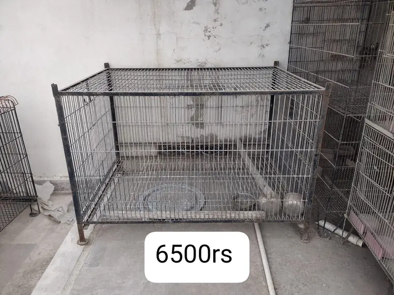 Cages available for Birds — photo 5