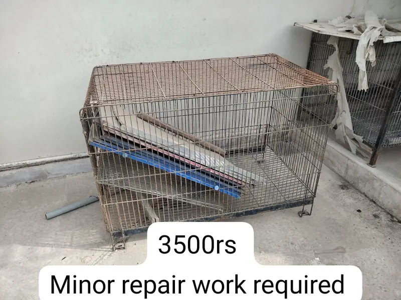 Cages available for Birds — photo 6