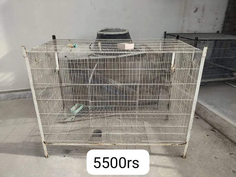 Cages available for Birds — photo 7