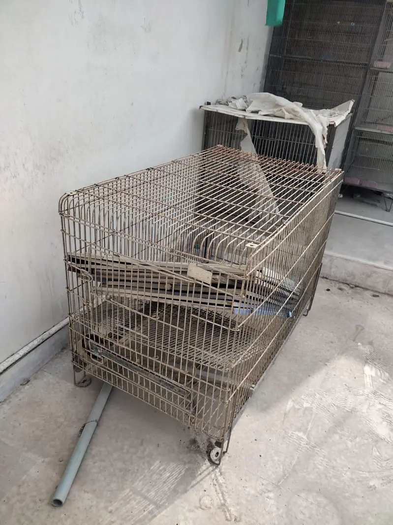 Cages available for Birds — photo 8