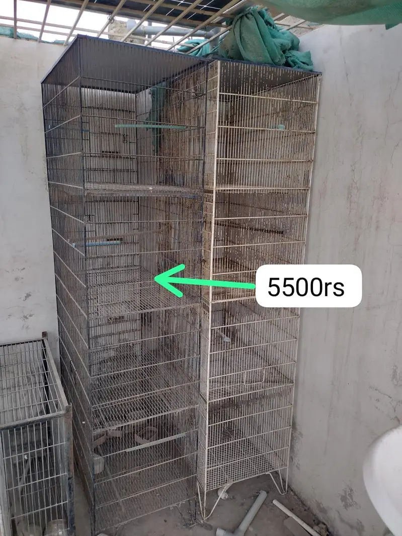 Cages available for Birds — photo 9