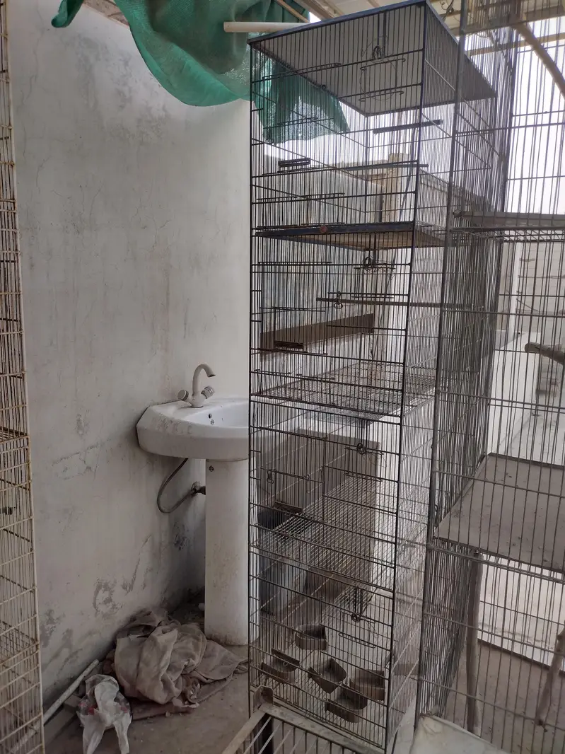 Cages available for Birds — photo 10