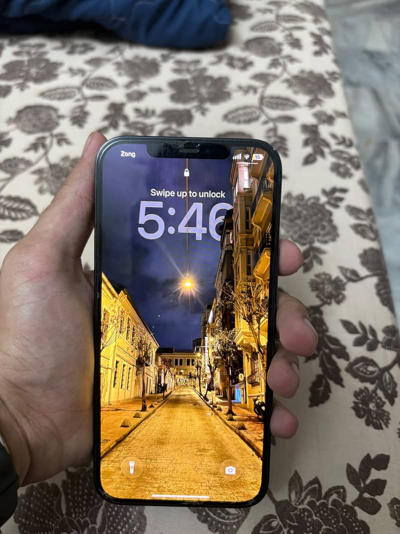 Apple iPhone 12 Pro Max 1