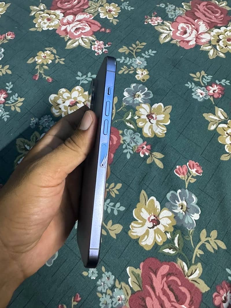 Apple iPhone 13 Pro Max 4