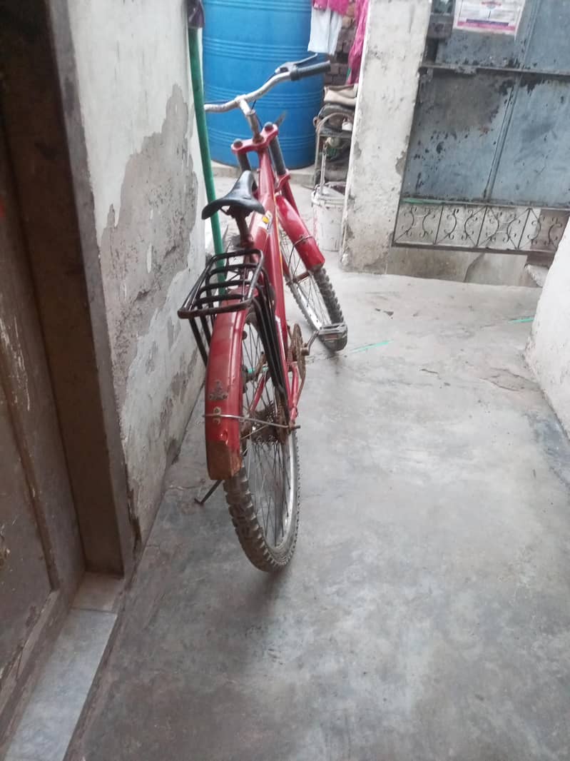 one cycle 4