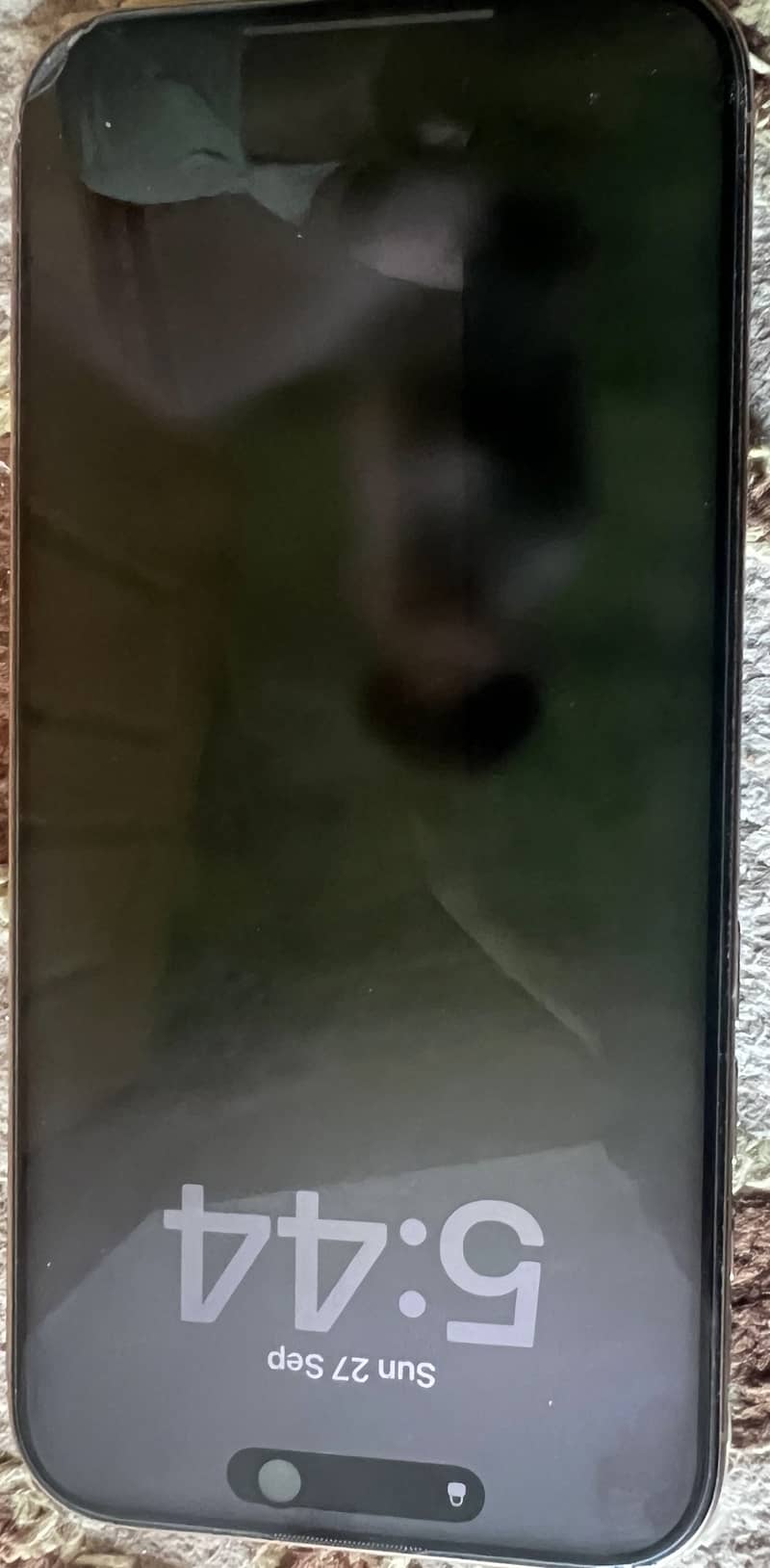 Apple iPhone 16 Pro Max 1