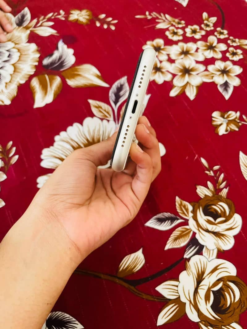 Apple iPhone 11 0