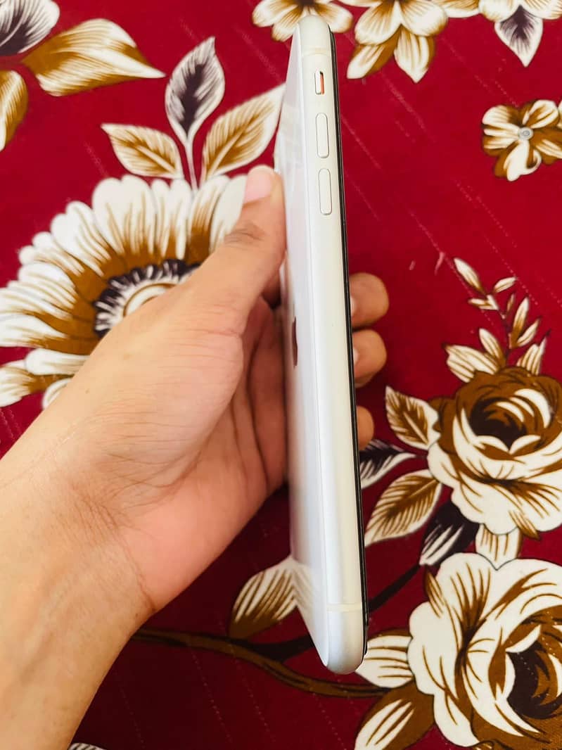 Apple iPhone 11 2