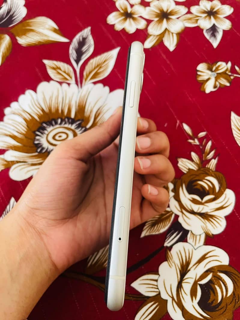 Apple iPhone 11 5